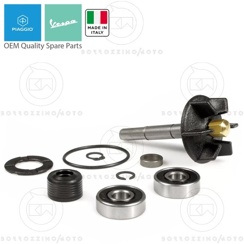 Kit revisione pompa acqua - revisione,
