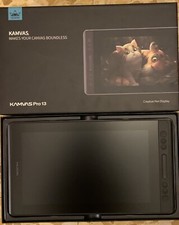 Tavola Grafica Kamvas 13 Pro.