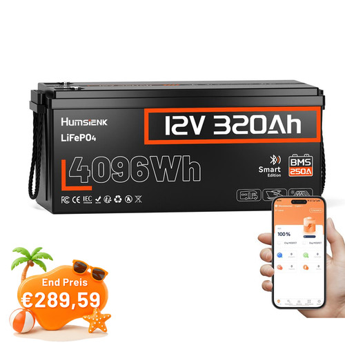 4096wh 12v 320ah batteria - 12v,