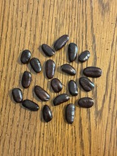 20 Stratified 2025 Wild Ohio