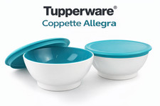 Tupperware Set 2 Coppette