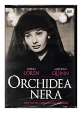 ORCHIDEA NERA A. Quinn S