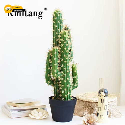Grande albero cactus - albero,