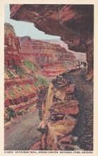 ARIZONA - Sul sentiero Kaibab, Parco Nazionale del Grand Canyon