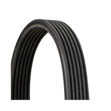 Cinghia Poly V Continental