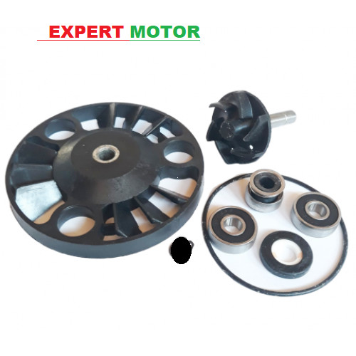 Kit revisione pompa acqua - ,