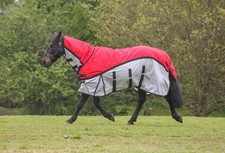 Tappeto cavallo rete affluenza