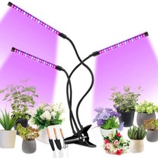 LED Grow Lights Indoor Plants