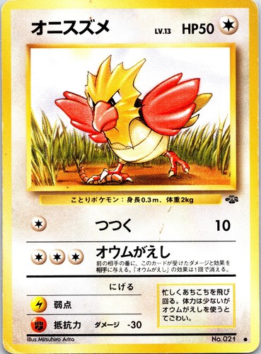 Spearow common pokemon jungle - spearow,