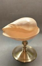 Cabinet De Curiosite'