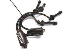 coppia bobine yamaha fz6 fazer 2006 5vx-00 j0383