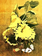 Giancarlo Cazzaniga -