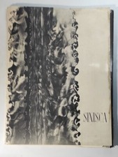 TOTEM E STRUTTURE DI SINISCA