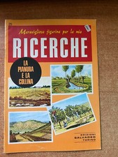 MERAVIGLIOSE FIGURINE PER LE