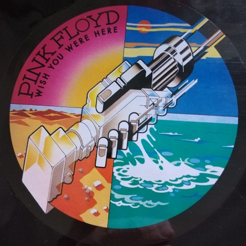 Pink floyd wish - pink, you