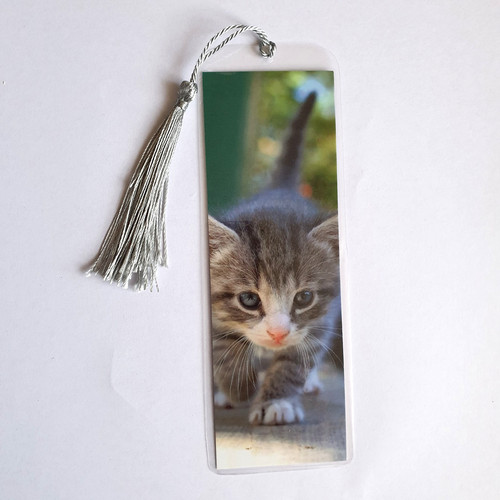 Segnalibro genzero gatto tabby