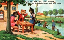 Illustrateur - Chats