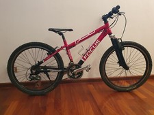 Bici Focus Raven Rookie 24