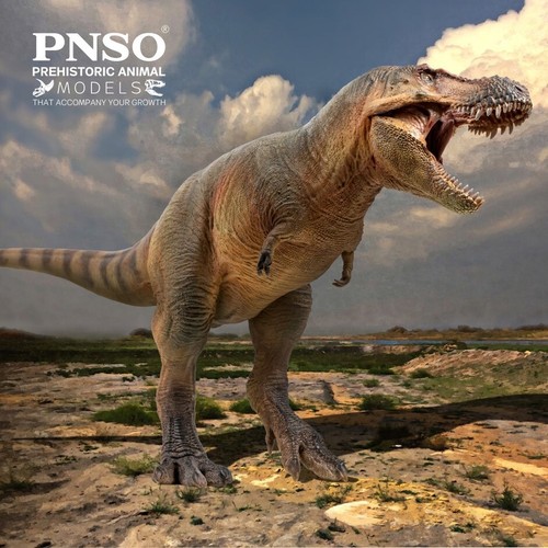 Pnso 2022 luxiong - pnso,