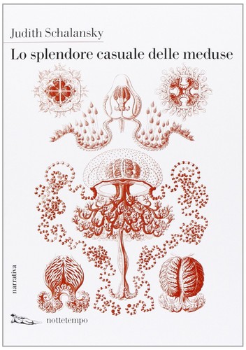 Splendore casuale delle - lo,