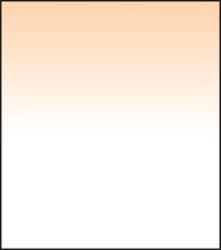 Lee Filters SW150 Coral 6