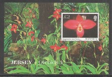 Maglia #1129 (A228) VF MNH S/S - 2004 £2 Phragmipedium Orchidea "Jason Fischer"