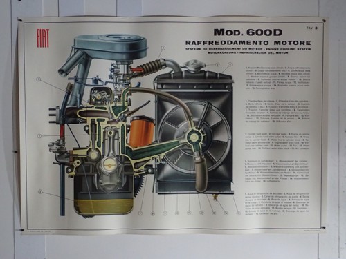 Fiat 600 edizione - fiat, d