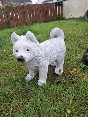 Stampo per cani - , grande
