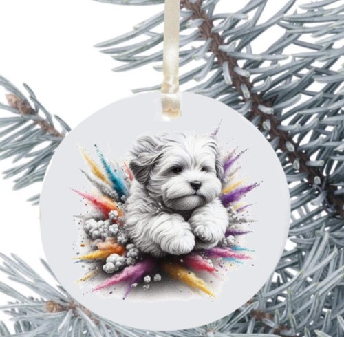 Palla appendere cane - da,