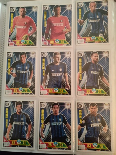 Figurine adrenalyn panini - ,
