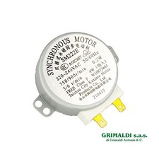 MOTORINO 220-240V 4W 5/6 RPM