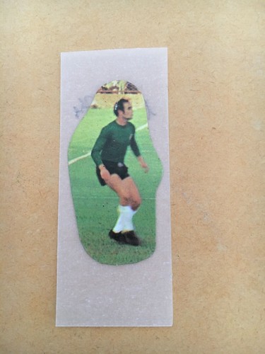 Figurine calciatori panini - figurine,