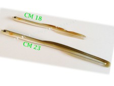 KIT 4 ANGUILLE SPINNING ESCHE