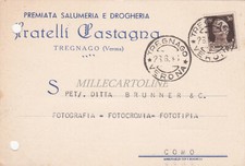 TREGNAGO - Fratelli Castagna