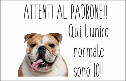Cartello segnaletico bulldog - cartello,