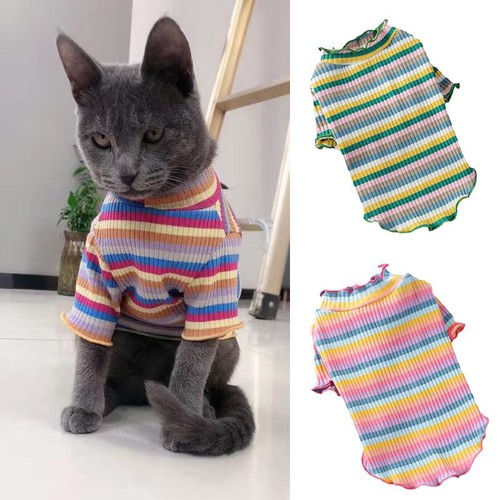 Camicia gilet gatto sphynx - gatto,