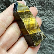 Gioco manuale denti di tigre -