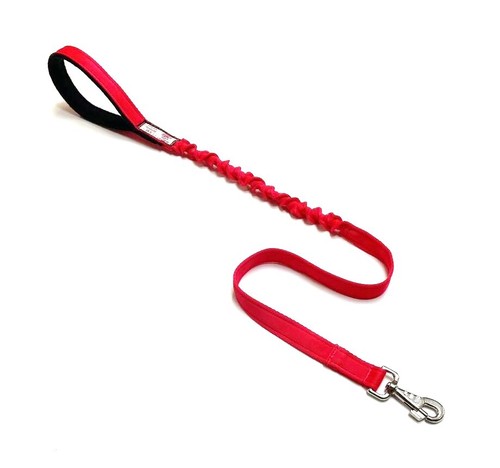 Guinzaglio per cani con - guinzaglio,