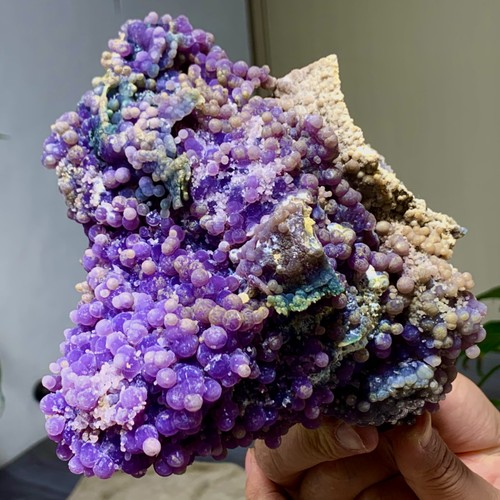 43lb natural purple grape - 2.43lb,