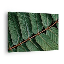 Quadro su Tela 70x50cm Gocce