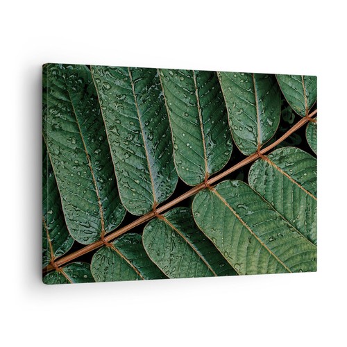 Quadro tela 70x50cm gocce - tela,