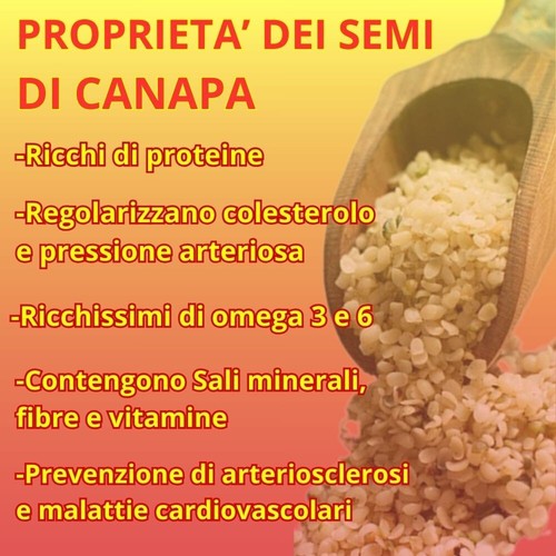 Semi canapa bio kg omega - di,