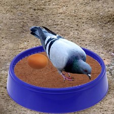 Incubatrice per cova uccelli 3