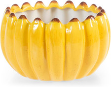 Centrotavola Banana in