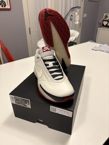 Nike air jordan chicago - nike,