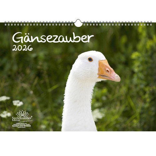 Calendario magia delle oche - calendario,