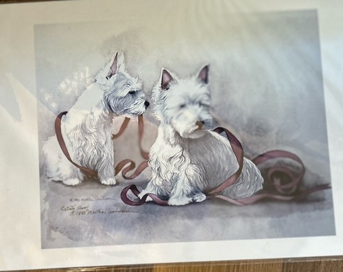 West highland white terrier - white,