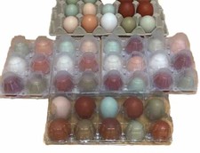 30 Uova Di Gallina Allevate All’aperto. Leggere Descrizione DA CONSUMO