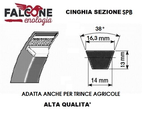 Cinghia trapezoidale liscia - trapezoidale,