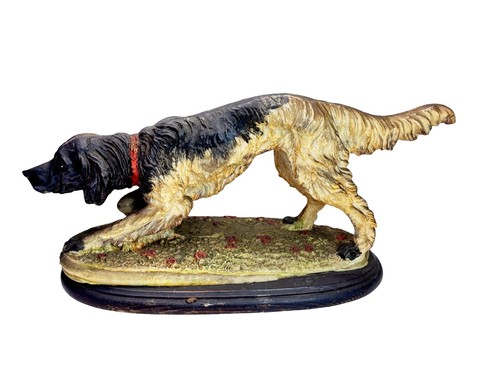 Setter cane caccia lungo - cane, da